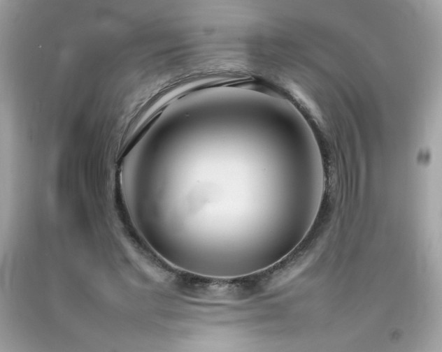 X0000092090493200709121515