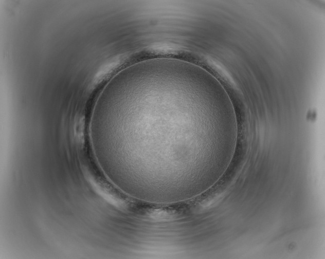X0000092090494200709121515