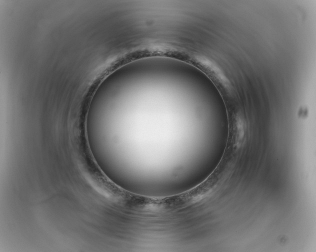 X0000092090496200709121515