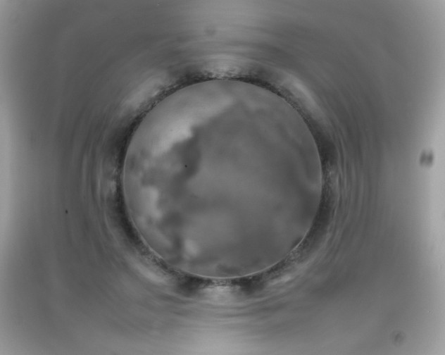 X0000092090499200709121515