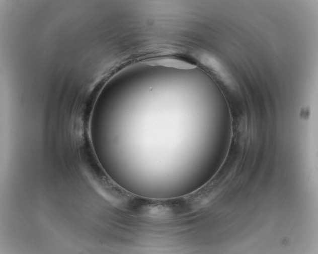 X0000092090500200709121515