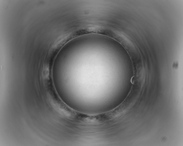 X0000092090502200709121515