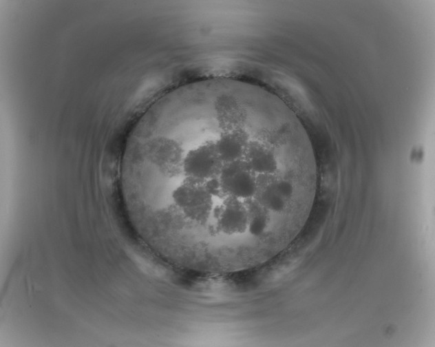 X0000092090503200709121515