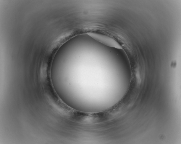 X0000092090504200709121515