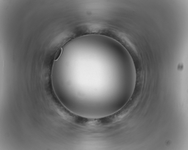 X0000092090505200709121515