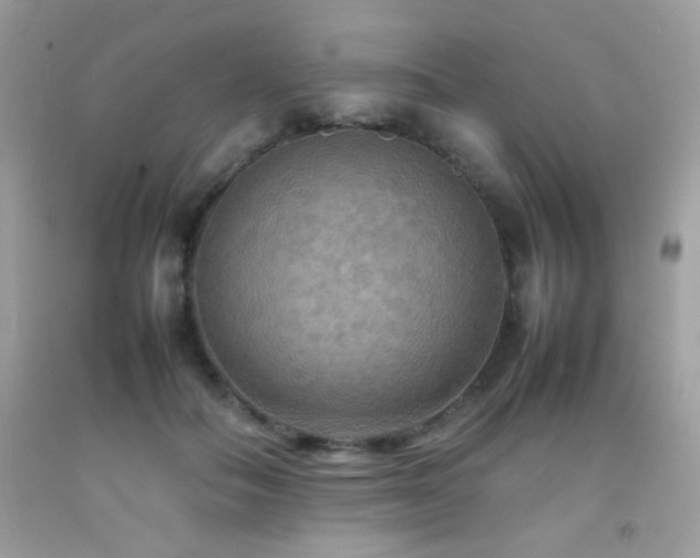 X0000092090506200709121515