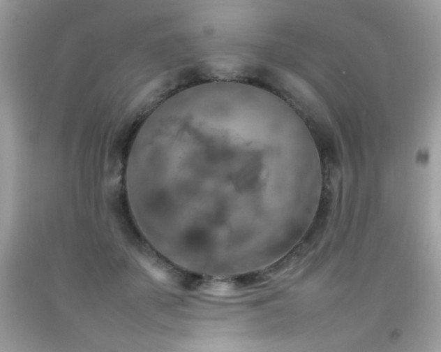 X0000092090507200709121515