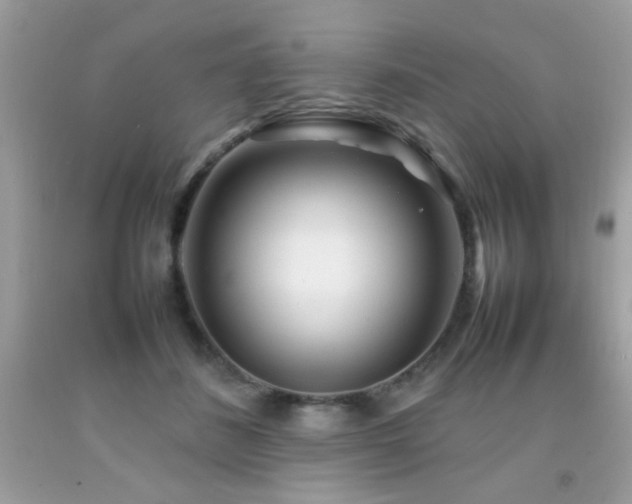 X0000092090508200709121515