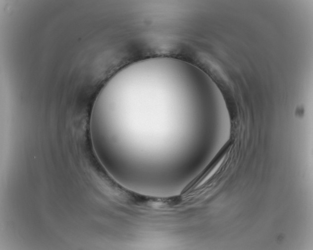 X0000092090509200709121515