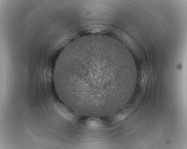 X0000092090510200709121515