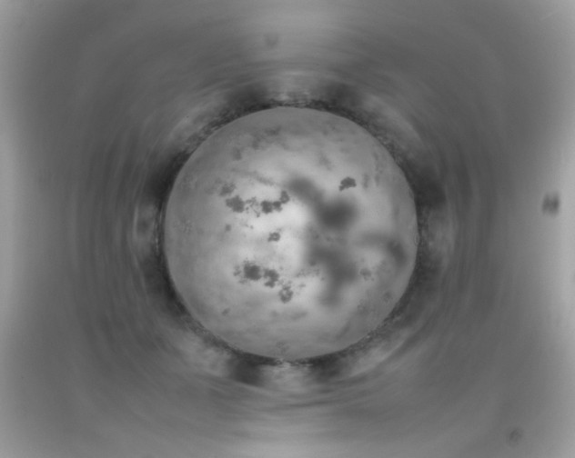 X0000092090511200709121515