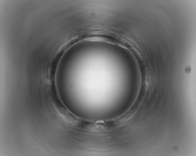 X0000092090512200709121515