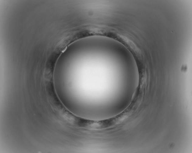 X0000092090513200709121515