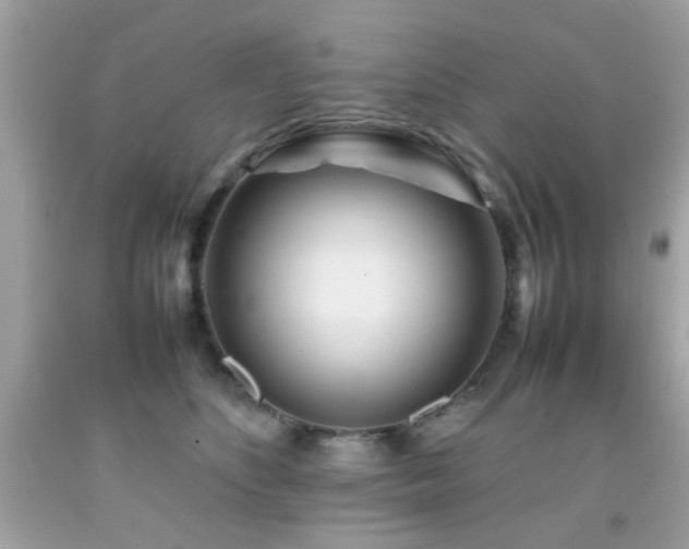 X0000092090516200709121515