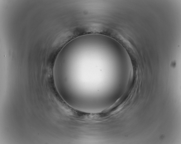 X0000092090517200709121515