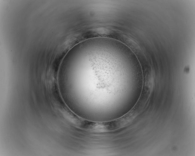 X0000092090518200709121515