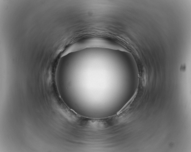 X0000092090520200709121515