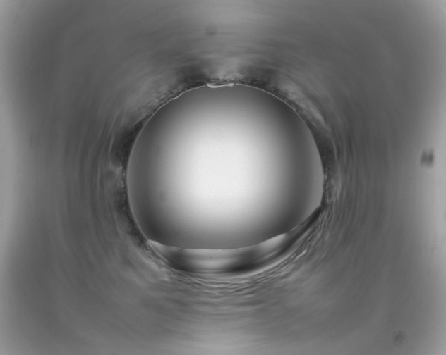 X0000092090521200709121515