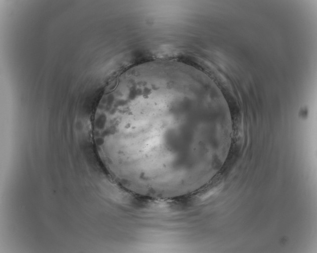 X0000092090523200709121515