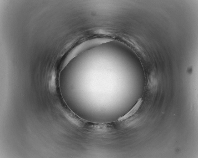 X0000092090524200709121515