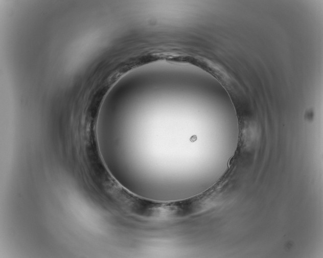 X0000092090525200709121515