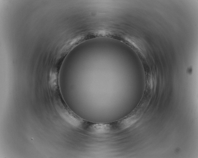 X0000092090526200709121515