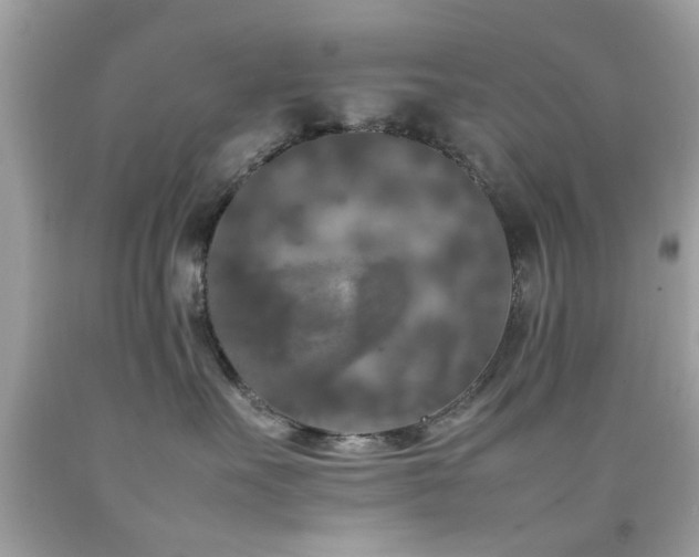 X0000092090527200709121515