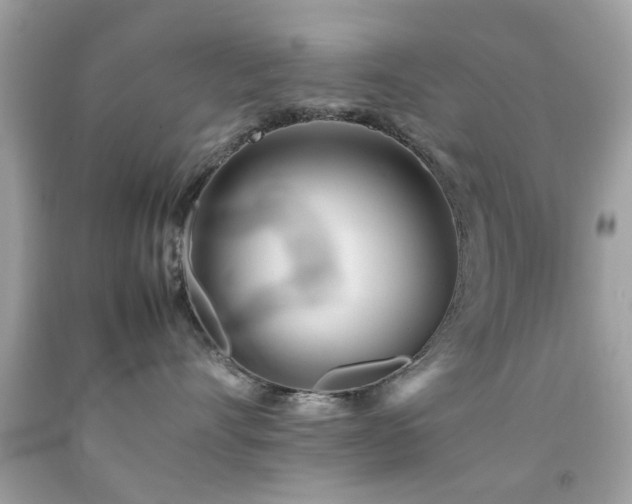 X0000092090528200709121515