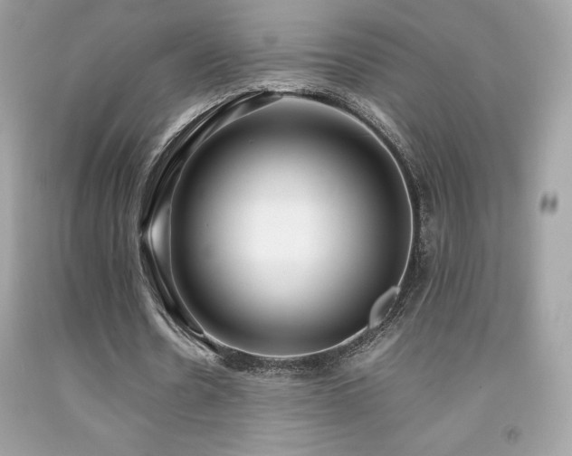 X0000092090530200709121514