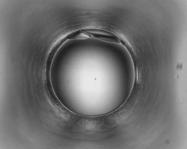 X0000092090531200709121514