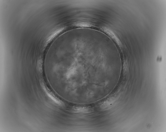 X0000092090533200709121514