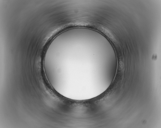 X0000092090534200709121514
