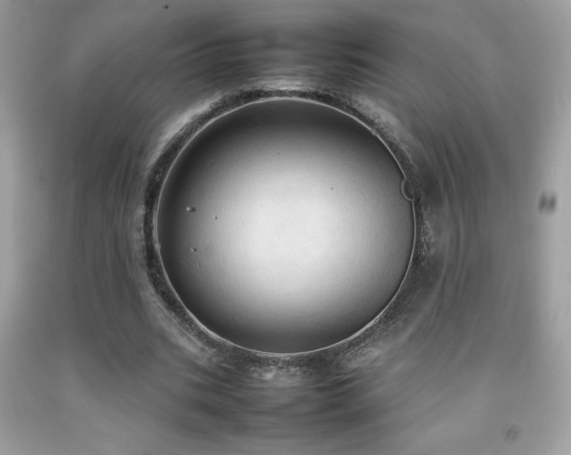 X0000092090535200709121514