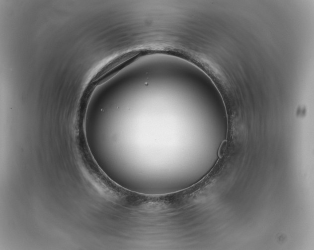 X0000092090536200709121514