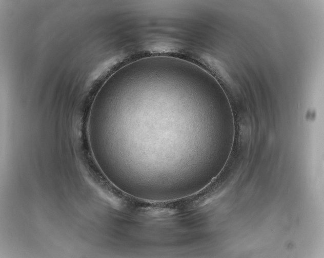 X0000092090539200709121514