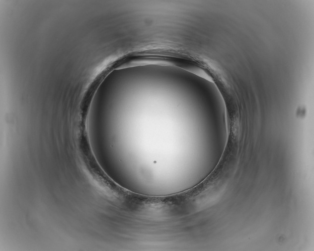 X0000092090540200709121514