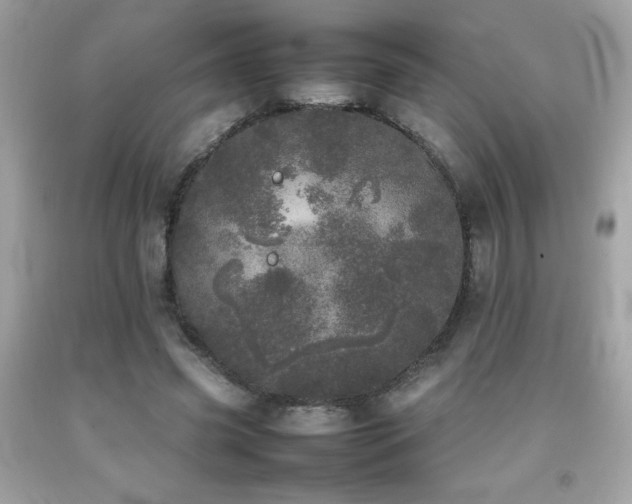 X0000092090541200709121514