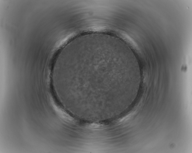X0000092090542200709121514