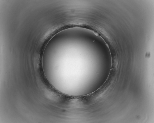 X0000092090544200709121514