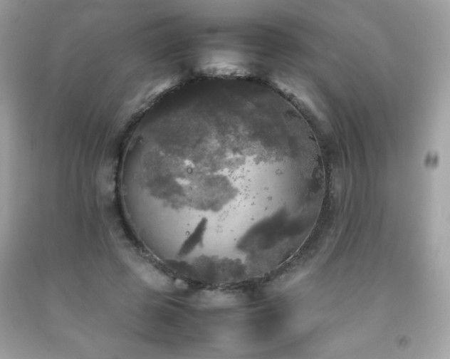 X0000092090545200709121514