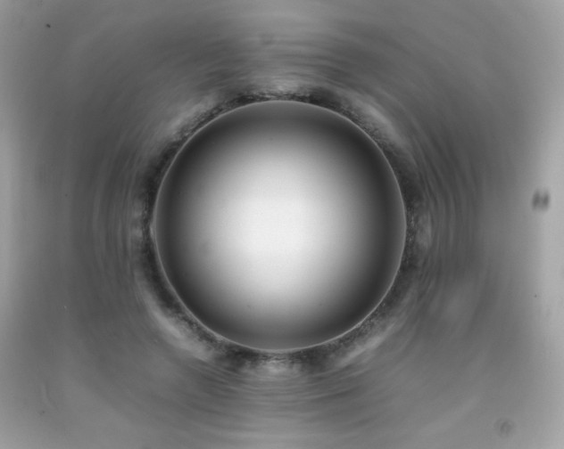 X0000092090546200709121514
