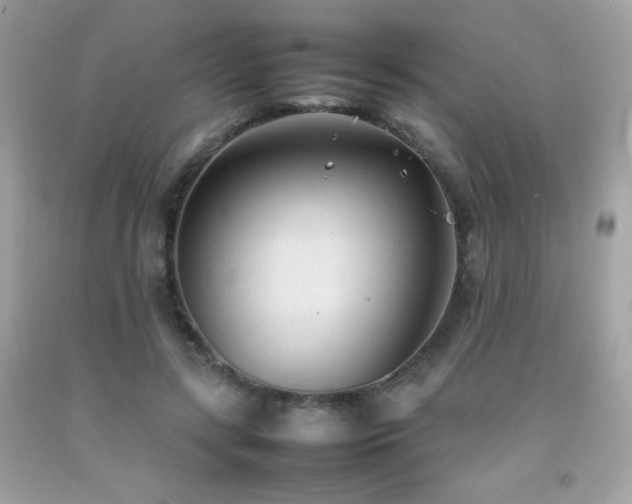 X0000092090547200709121514