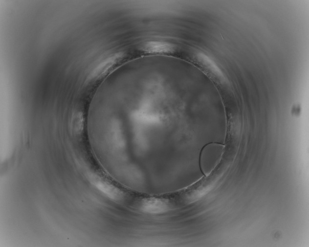 X0000092090549200709121515