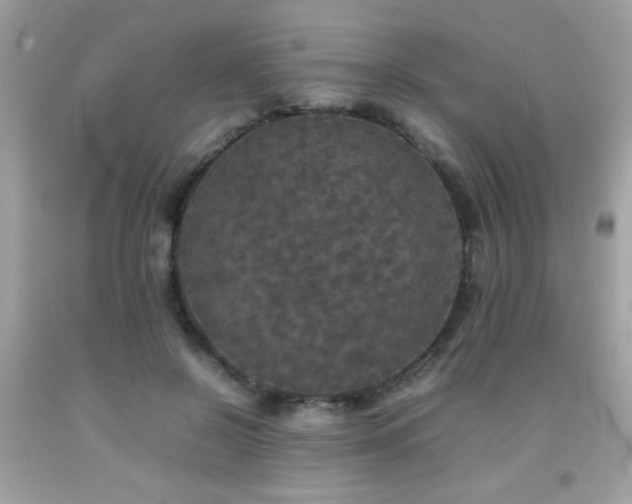 X0000092090550200709121515