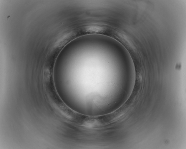 X0000092090551200709121515