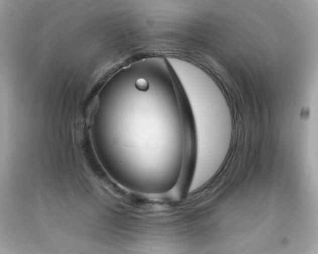X0000092090552200709121515