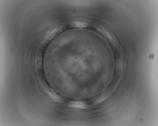 X0000092090553200709121515