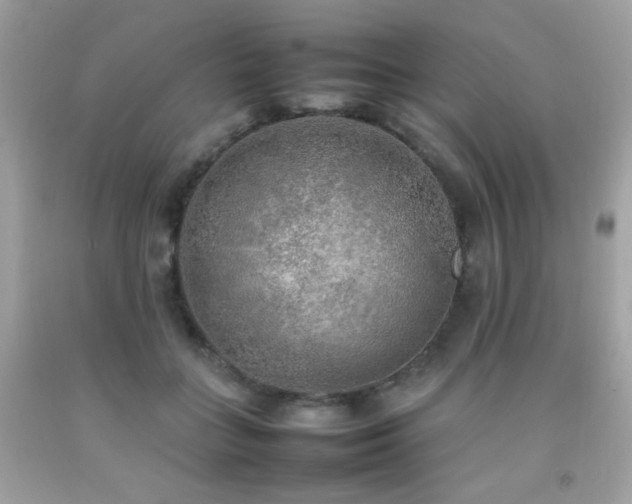 X0000092090555200709121515