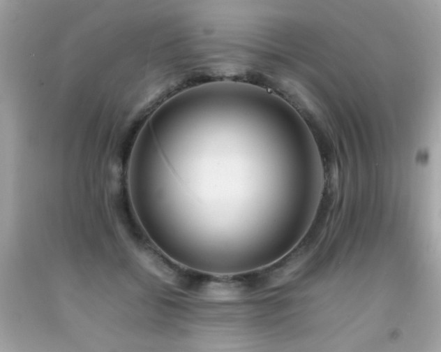 X0000092090556200709121515