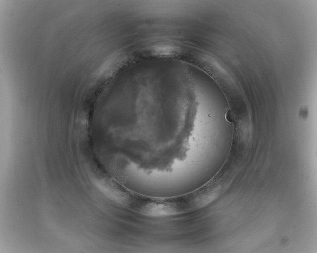 X0000092090557200709121515